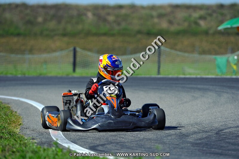 DSC_ (1582).jpg